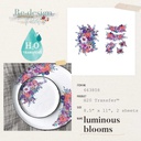 H2O Transfers - Luminous Blooms