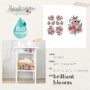 H2O Transfers - Brilliant Blooms