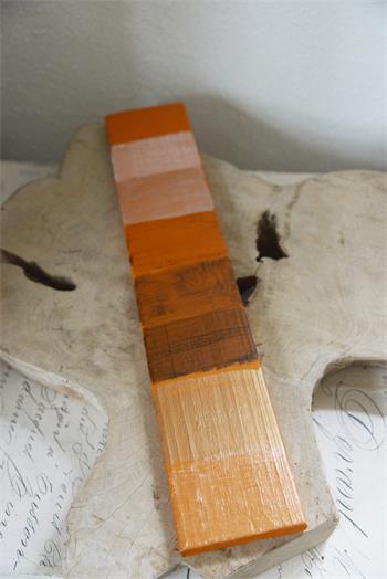 Rusty Orange 100ml