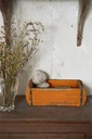Rusty Orange 100ml