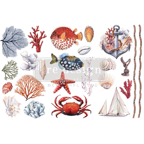 Decor Transfers® - Amazing Sea Life