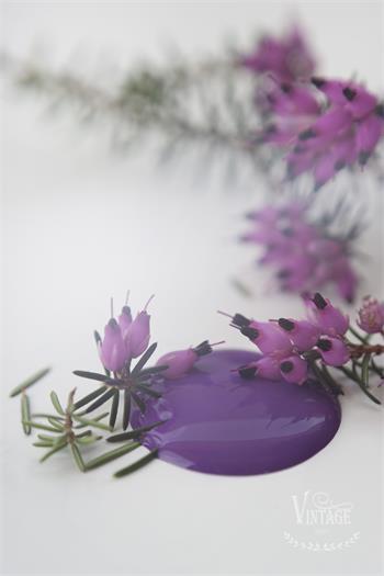 Dark Purple 100ml