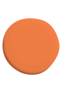 Bright Orange