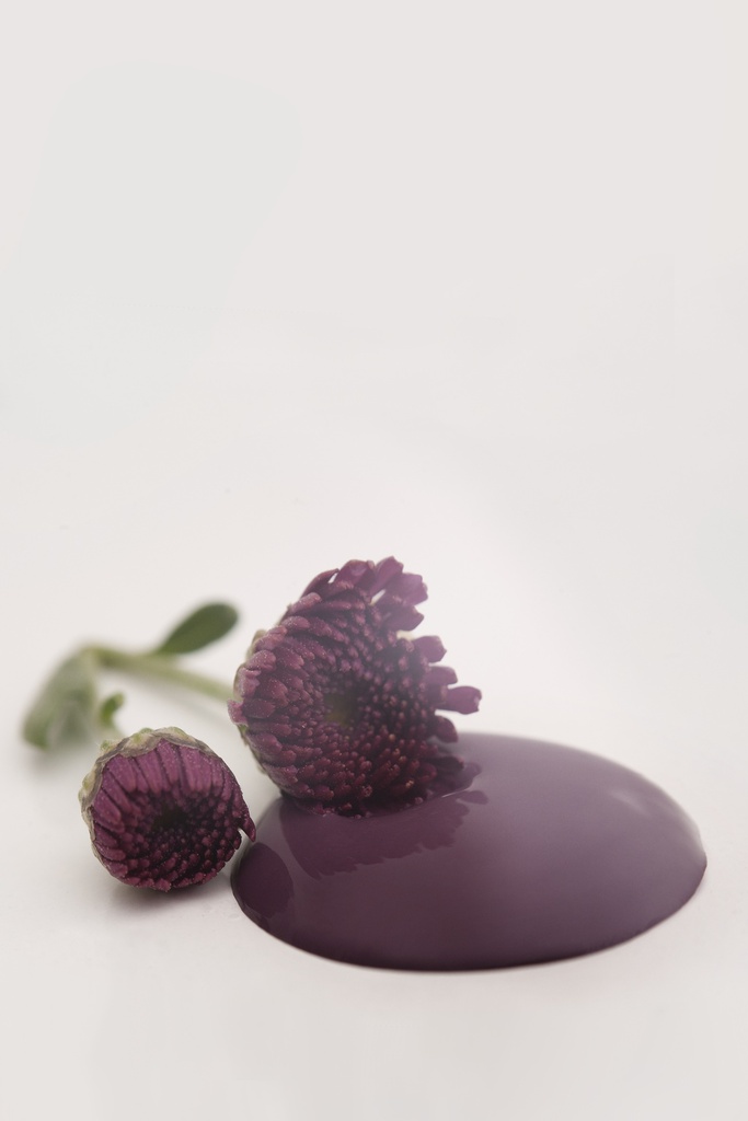 Posh Plum 700ml