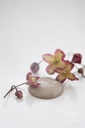 Antique Sand 50ml glass jar