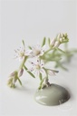 Moss Green 50ml glass jar
