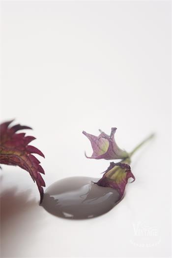 Dark Powder 700ml