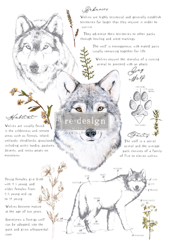 Redesign Decor Transfers® - Gray Wolf