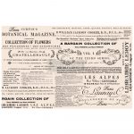 [655350652364] Redesign Decoupage Décor Tissue Paper - Floral Text
