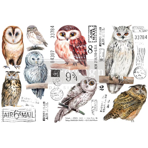 [655350656010] Décor Transfers® - Owl - 3 sheets, 15,25 cm x 30,50 cm