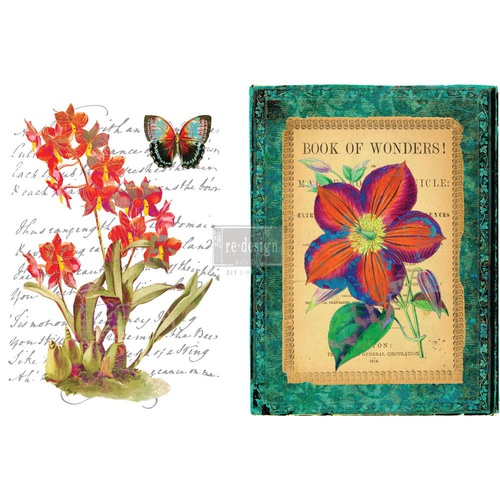 [655350640583] Redesign decor transfers wondrous flora 22x 32