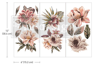 Decor Transfers® - Exotica